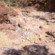 Illustration for article titled Arkaroola, An Ancient Wilderness